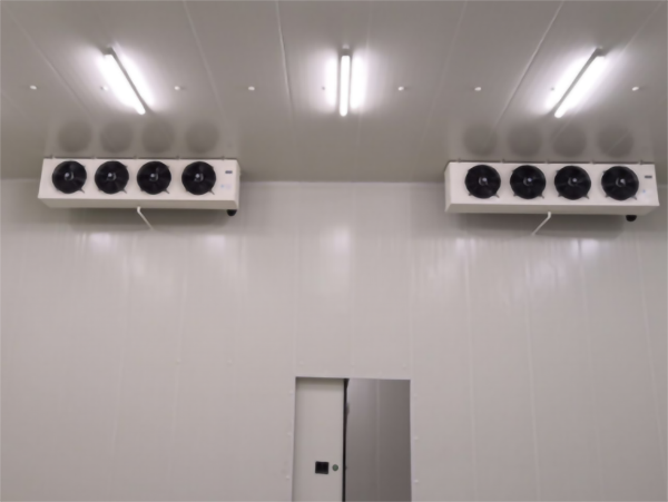 食品公司內(nèi)建造一個1000平包子、水餃速凍冷庫費用是多少？