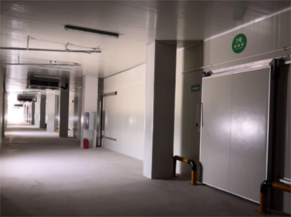 建造200噸的肉類冷鏈冷凍庫如何做好規(guī)劃設(shè)計？