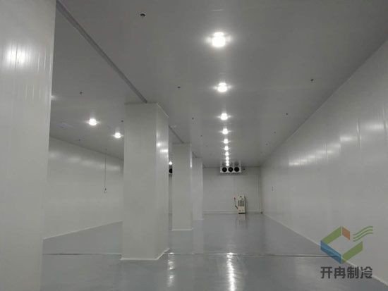 gmp診斷試劑冷庫制造標(biāo)準 gmp診斷試劑冷庫制造標(biāo)準