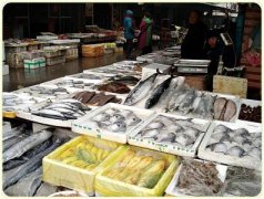 上海海鮮低溫冷庫建造，水產(chǎn)品低溫冷庫造價(jià)