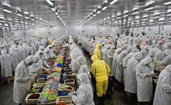 上海電商冷庫建造、運營