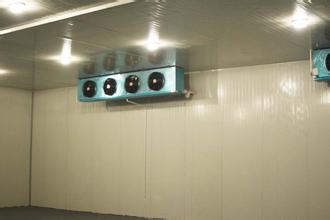 水果柿子冷庫保鮮貯藏方法冷庫工程設(shè)計(jì)