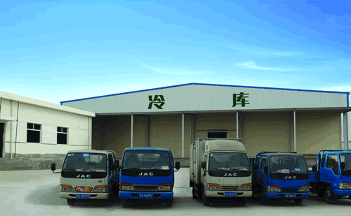 大型冷鏈物流冷藏車，果蔬冷庫安裝設計·