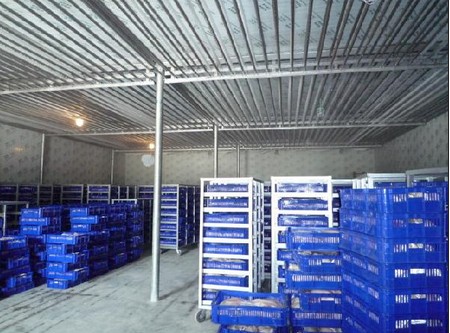 -18~-23℃冷凍庫哪種制冷方式好？（冷風(fēng)機(jī)，鋁排）