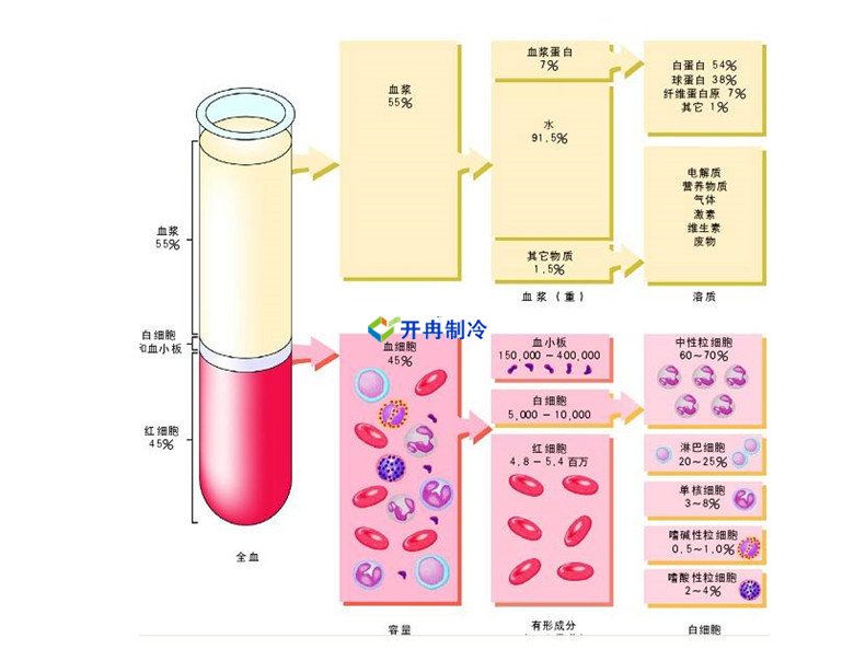 -30℃～-80℃血漿蛋白低溫冷凍庫規范，冷庫安裝價格
